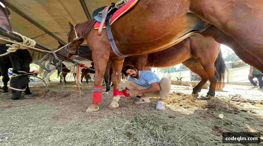 每一次努力，都是距离梦想更近一步。